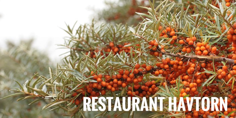 Restaurant Havtorn