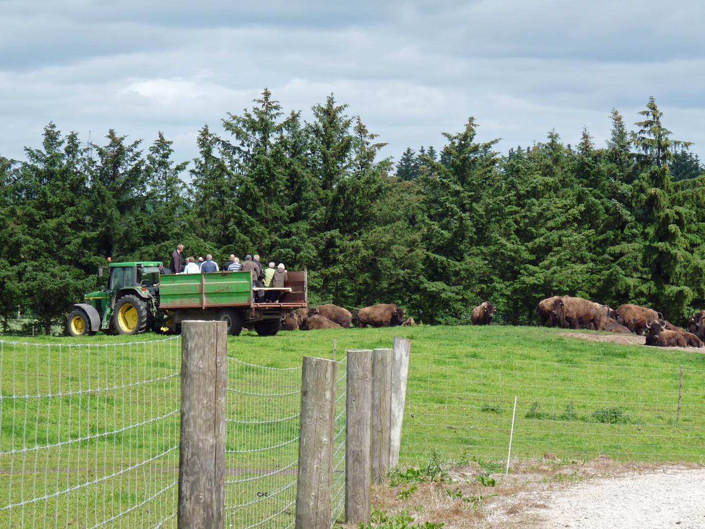 433930209 926467289265557 7385093775518669945 N