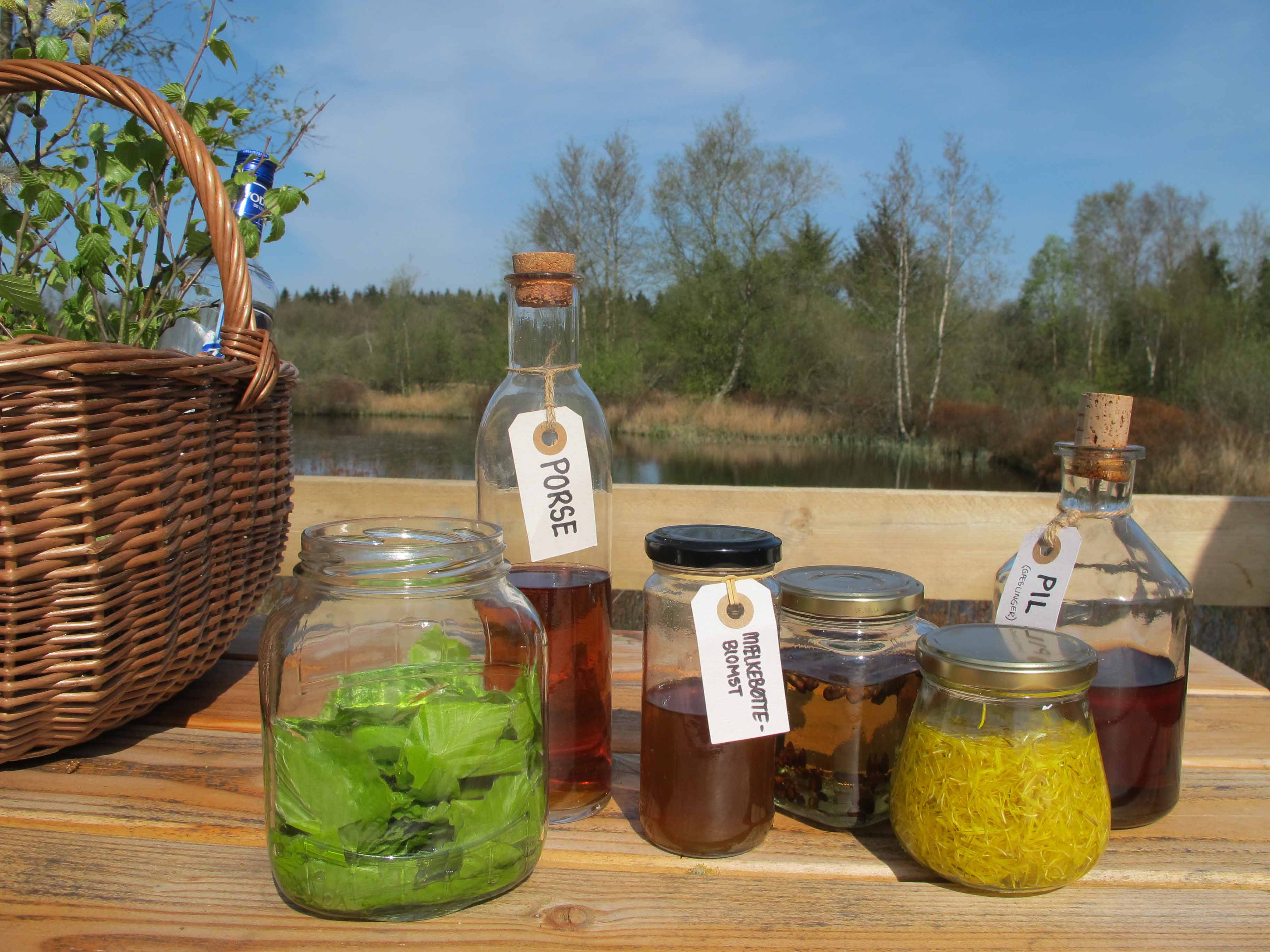 Snapsetur I Bjørnemosen